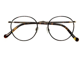 Moscot Zev Berlin, tortoise gold 