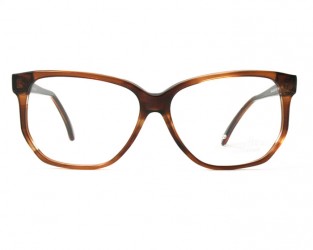 Jean Claude, tortoise 