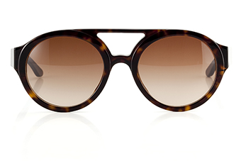 Bon Vivant, sun, tortoise 