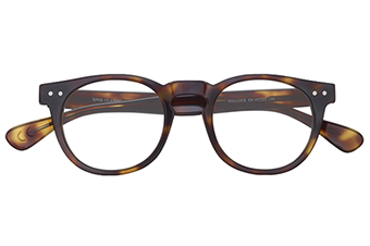 Polluce Berlin tortoise, Pantobrille 