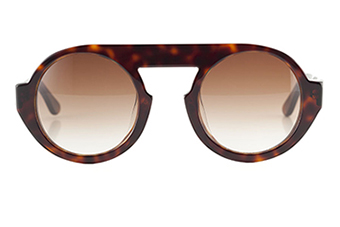 Here we come, sun, tortoise 