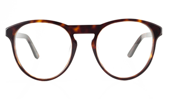 So to speak, tortoise 